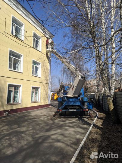 Спил деревьев