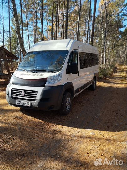 Аренда автомобиля, трансфер