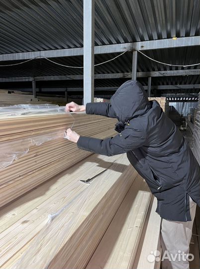 Сосна Карельский профиль сорт ав