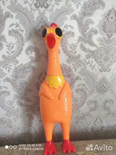 Пищалка петух