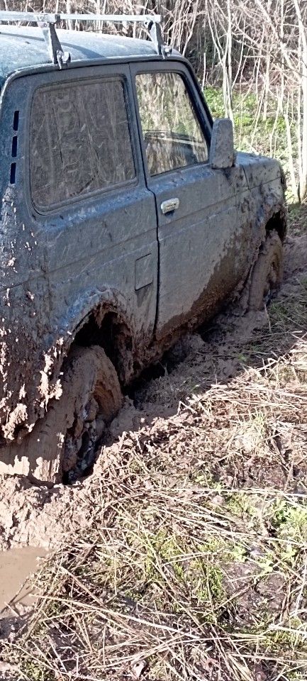ВАЗ (LADA) 4x4 (Нива): фото владельца