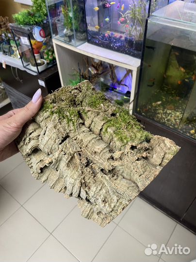 Террариум новый