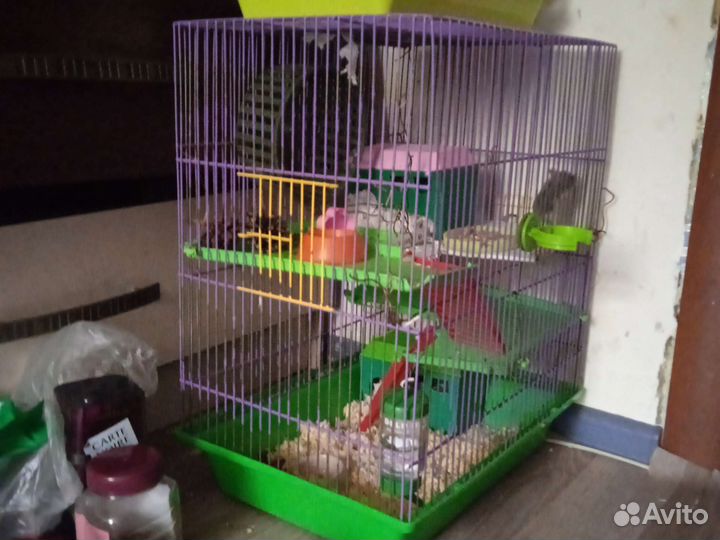 Клетка для хомяка