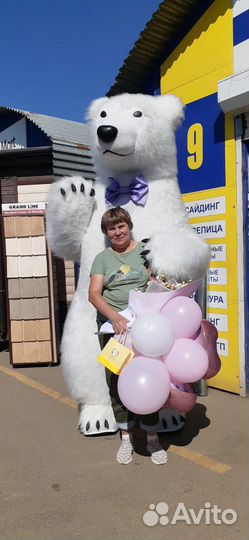 Поздравление от Белого Медведя. Аниматор