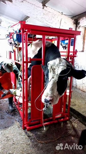 Станок для обрезки/фиксации крс