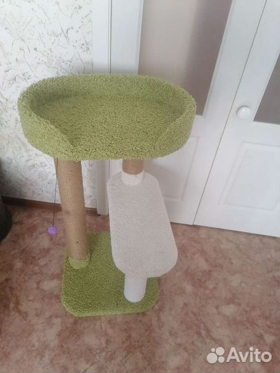 Когтеточка для кошек