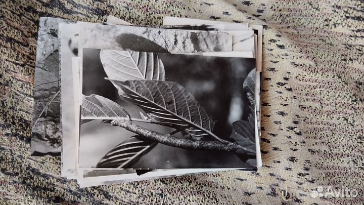 Фотографии ч/б