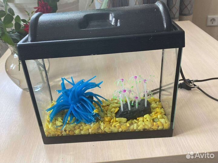 Аквариум
