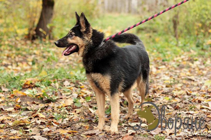 Прекрасная Фиджи