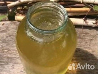 Белая акация мед урожай 2024