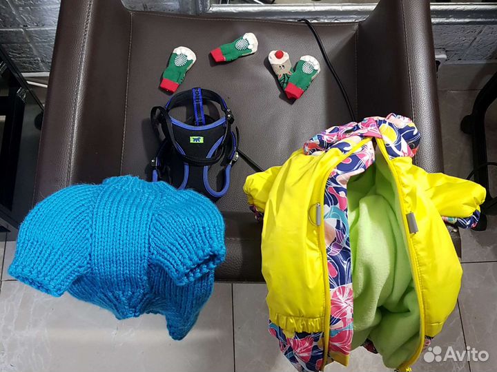 Вещи для собак