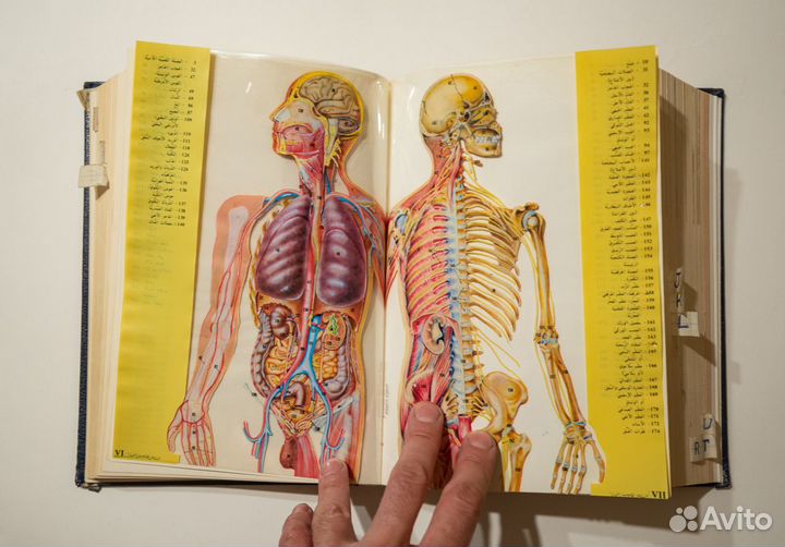 Англо Арабский словарь Al-Mawrid 1990г