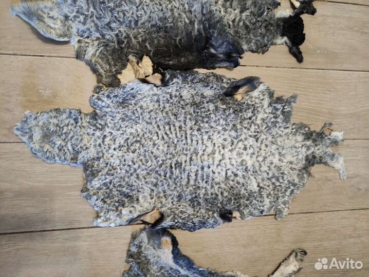 Мех. Мутон. Каракуль. Кролик