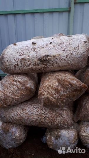 Отработанные грибные блоки