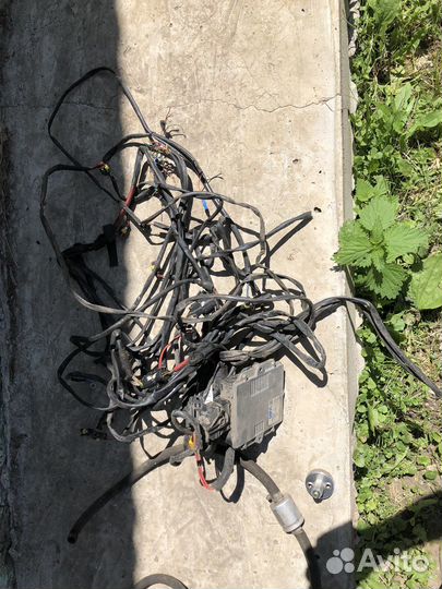 Гбо 4 поколения комплектOmvl