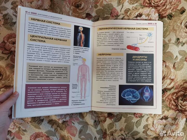 Энциклопедия, книга, медицина для детей