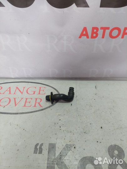 Трубка масляная Land Rover Velar L560 2.0 TD 2018