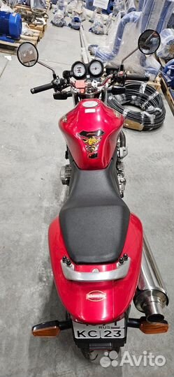 Honda hornet