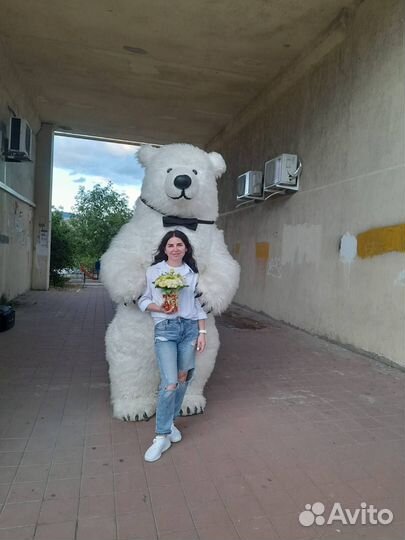 Выступление Белого Мишки