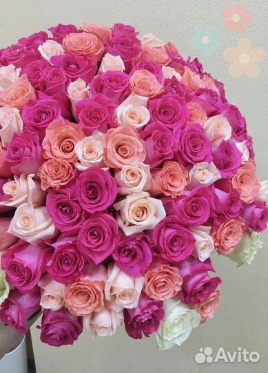 Розы Цветы Доставка 25 51 151 201 101 301 501 опт