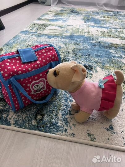 Собачка в сумочке чичилав