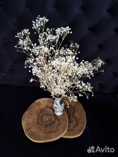 Спилы из дерева