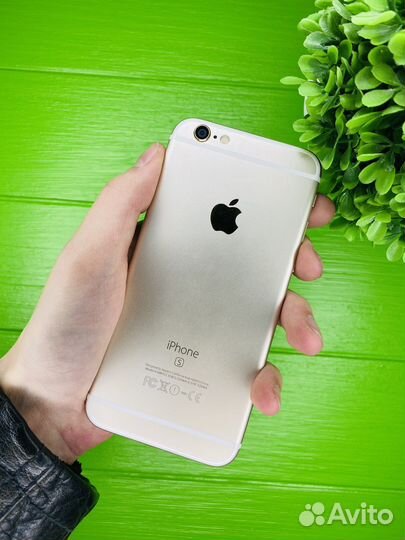 iPhone 6s 16gb gold