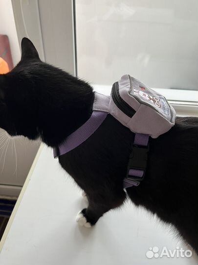 Шлейка-рюкзак для кошек и собак