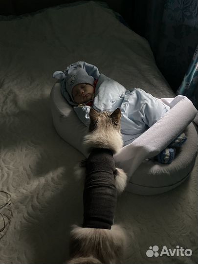 Кокон для новорожденных askona