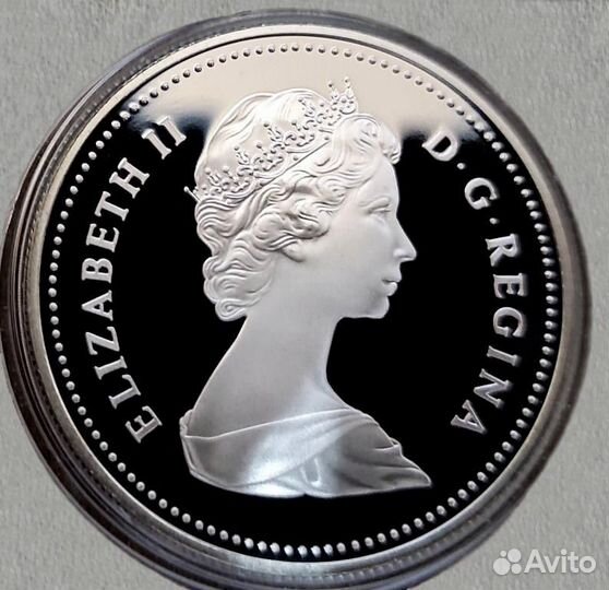 Канада 1 доллар 1981 серебро Proof