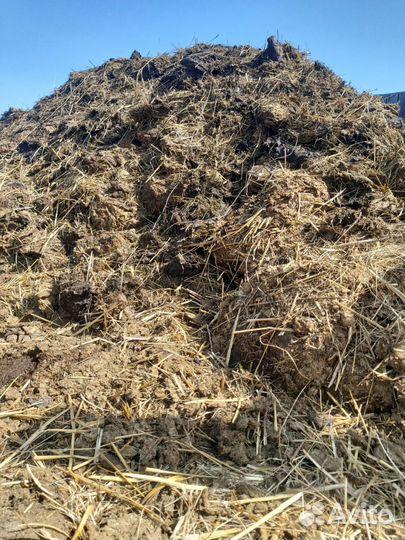 Навоз коровий