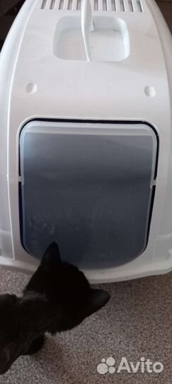 Товары для домашних животных