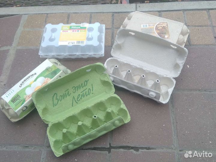 Ячейки для яиц