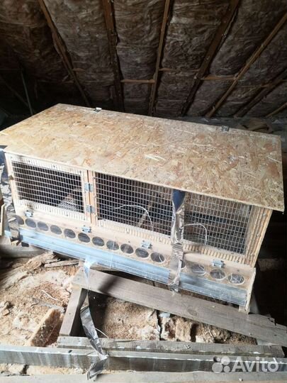 Брудер для цыплят, индюшст, утят б, у