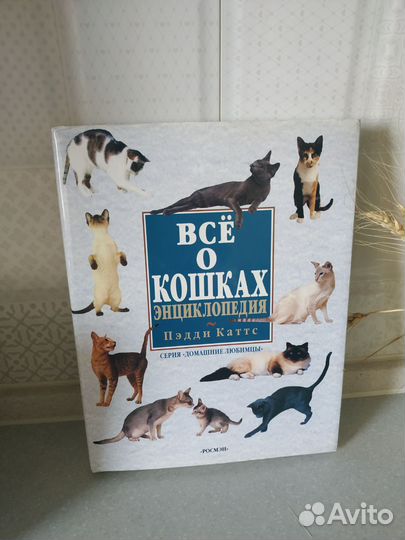 Энциклопедия