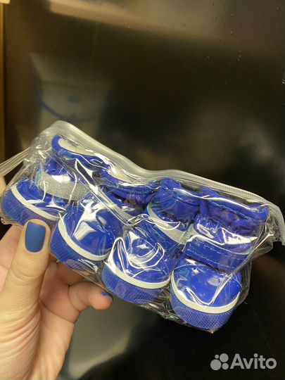 Одежда для маленьких пород собак