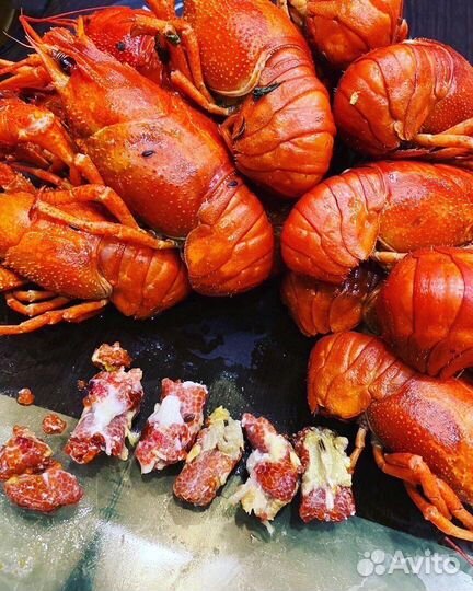 Живые раки алтайские