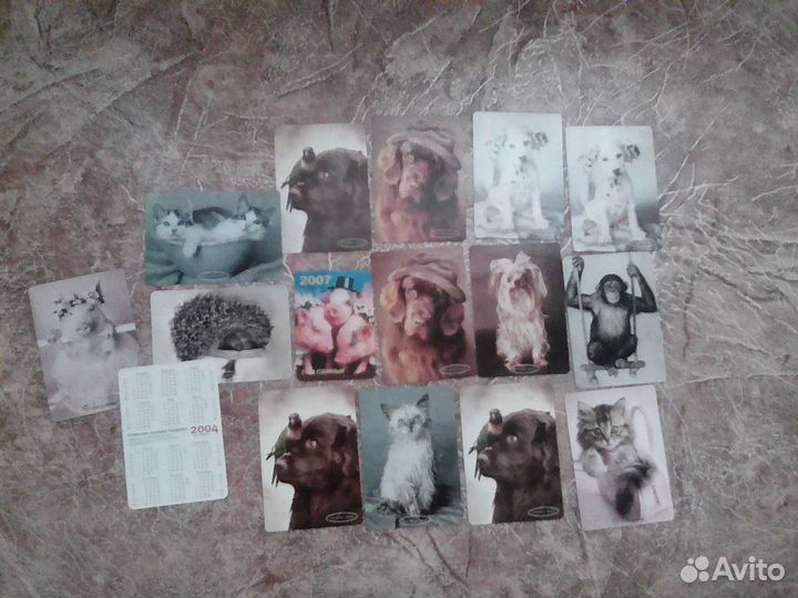 Новые Календарики Rachael Hael животные 16 шт