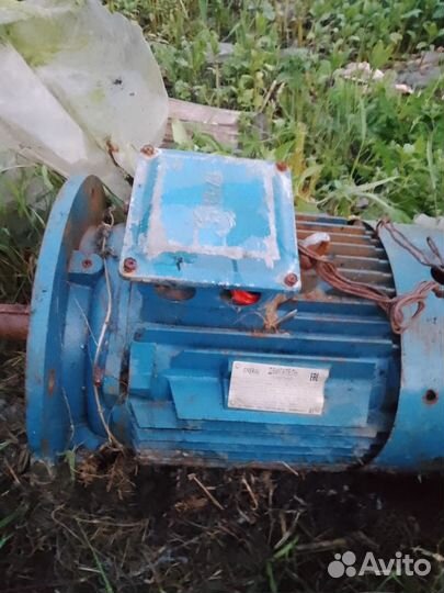 Двигатель асинхронный 22 квт