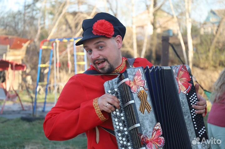 Баянист певец на праздник