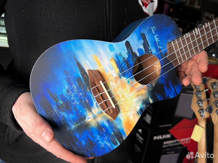 Укулеле flight концерт