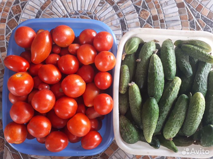 Растения для сада