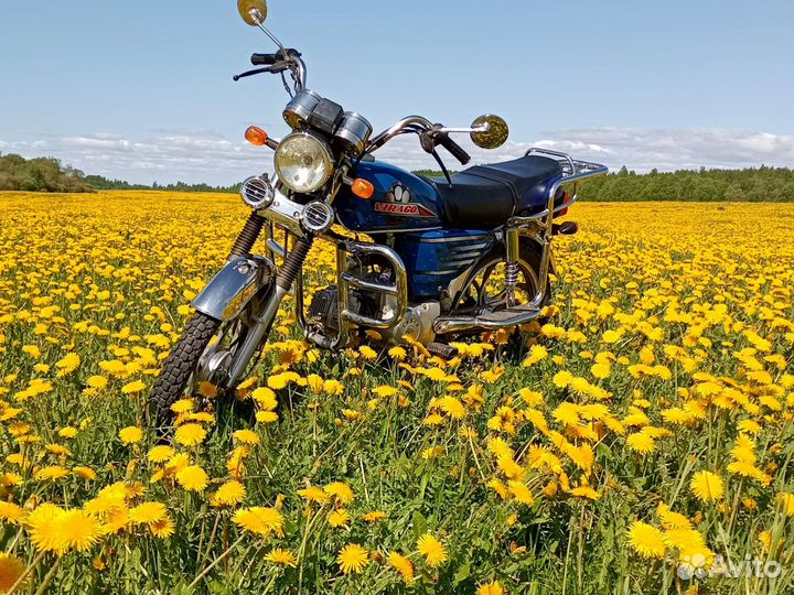 Ирбис Вираго