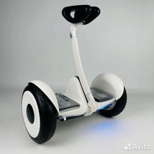 Segway ninebot mini