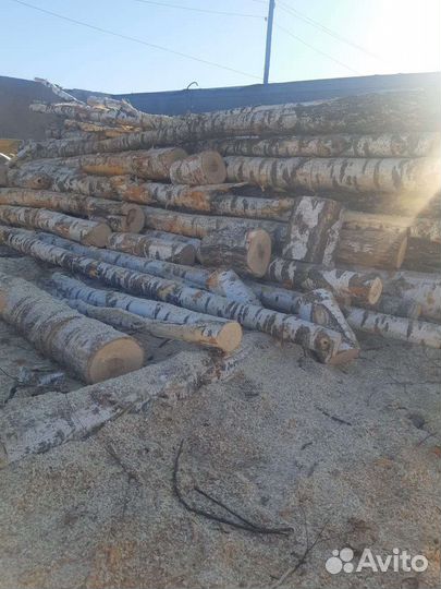 Дрова березовые колотые полусухие