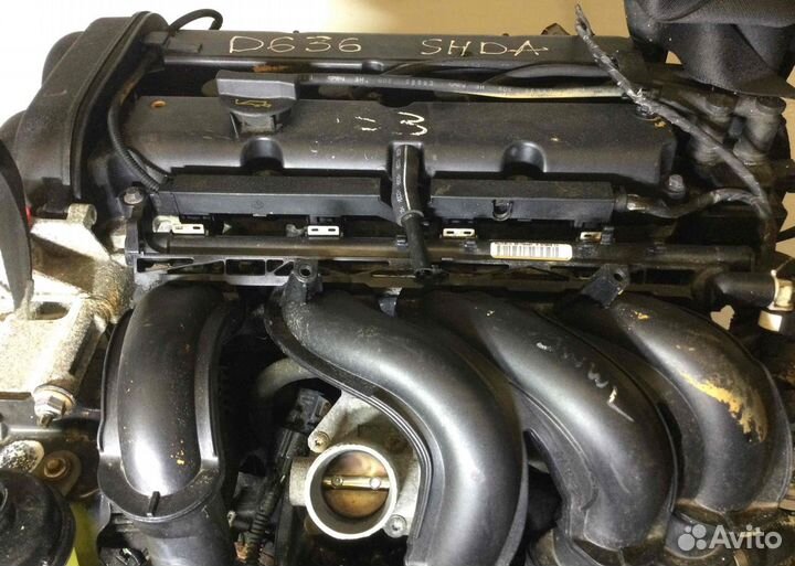 Двигатель Ford Focus Shda 1.6 бензин 2009