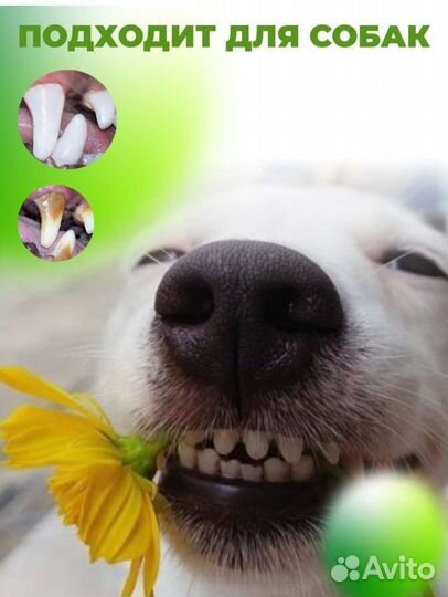 Ультразвуковой скалер для чистки зубов