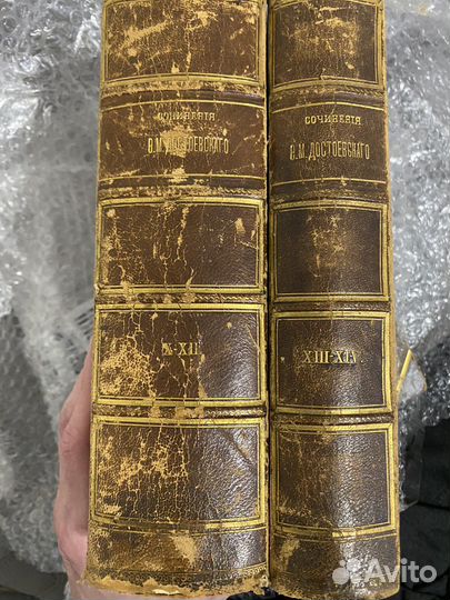 Достоевский Ф.М. 1882 год