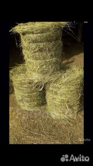 Сено луговое