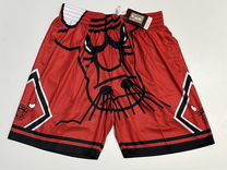 Баскетбольные шорты Чикаго Буллз красные